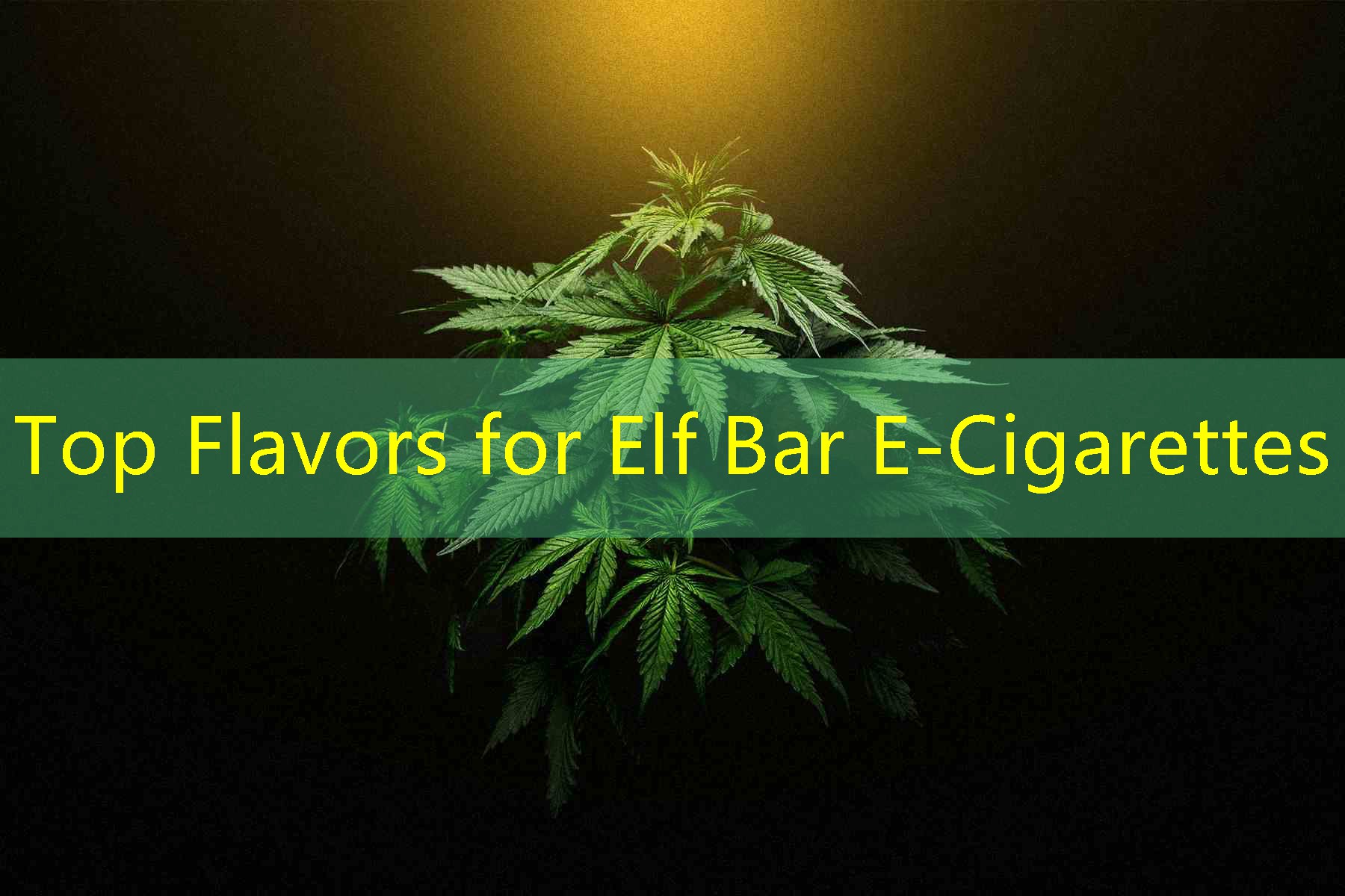 Top Flavors for Elf Bar E-Cigarettes