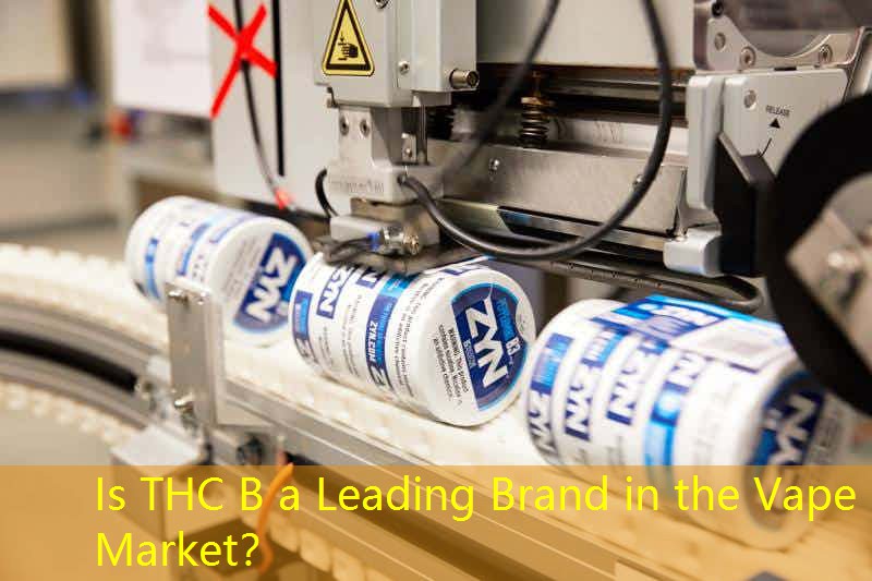 Is THC B a Leading Brand in the Vape Market？