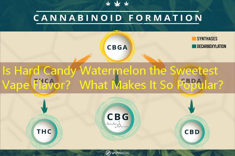 Is Hard Candy Watermelon the Sweetest Vape Flavor？ What Makes It So Popular？