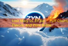Lost Mary vs. Elf Bar: Puff Count, Flavors, and Price Battle-Vape