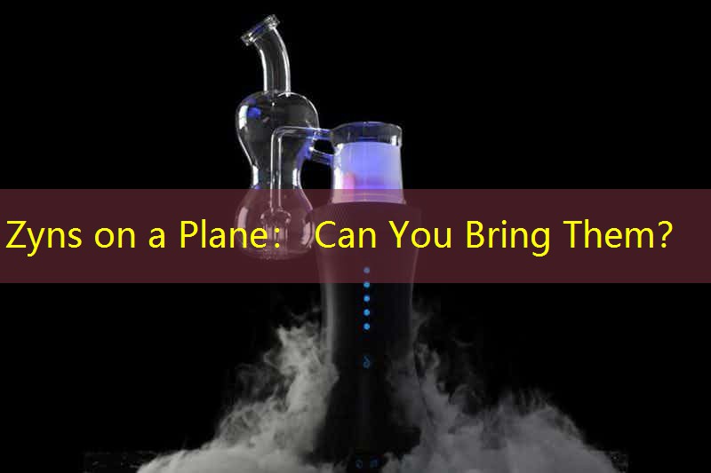 Zyns on a Plane： Can You Bring Them？