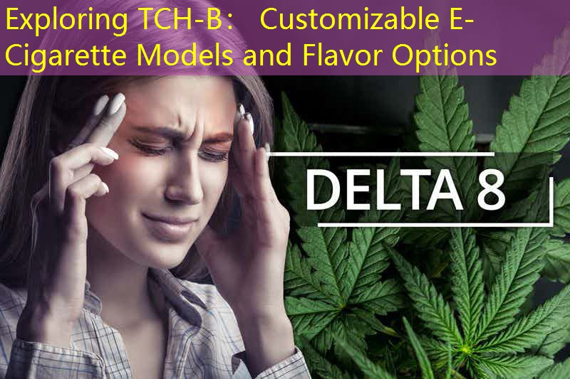 Exploring TCH-B： Customizable E-Cigarette Models and Flavor Options