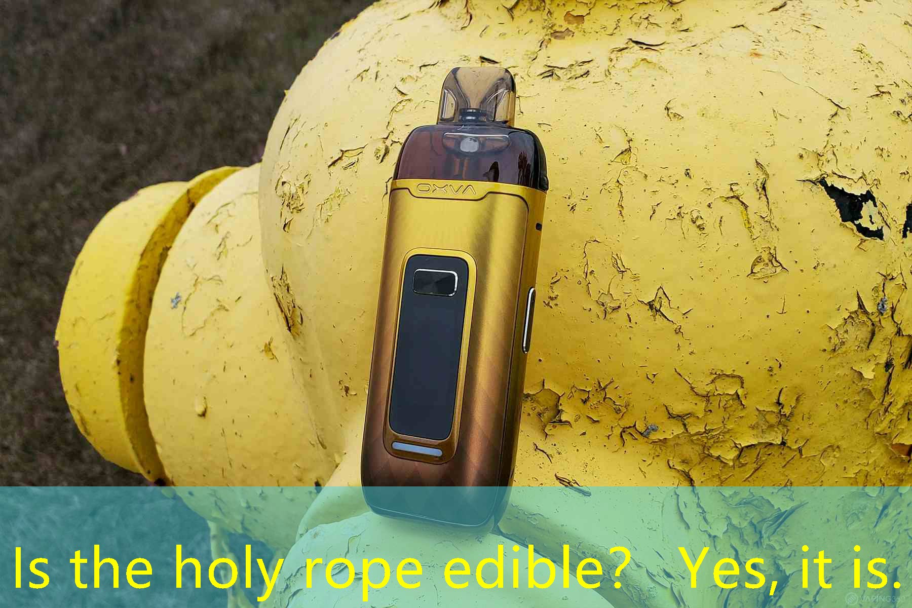 Is the holy rope edible？ Yes, it is.
