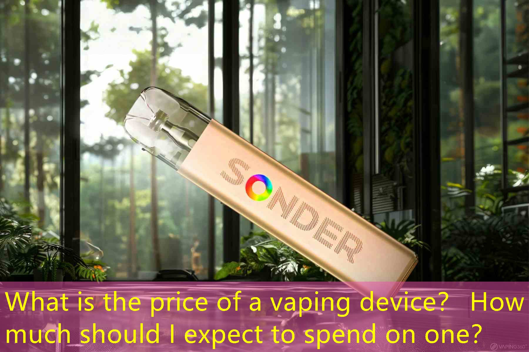 What is the price of a vaping device？ How much should I expect to spend on one？