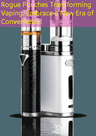 Rogue Pouches Transforming Vaping, Embrace a New Era of Convenience!