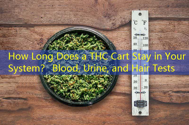 How Long Does a THC Cart Stay in Your System？ Blood, Urine, and Hair Tests