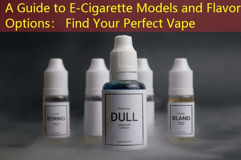 A Guide to E-Cigarette Models and Flavor Options： Find Your Perfect Vape