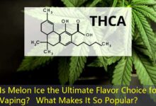 Is Melon Ice the Ultimate Flavor Choice for Vaping? What Makes It So Popular?-Vape