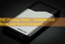 THC Potency Chart: Distillate, Live Resin, and Rosin Compared-Vape