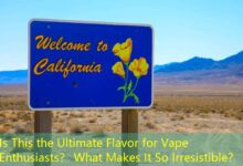 Is This the Ultimate Flavor for Vape Enthusiasts? What Makes It So Irresistible?-Vape