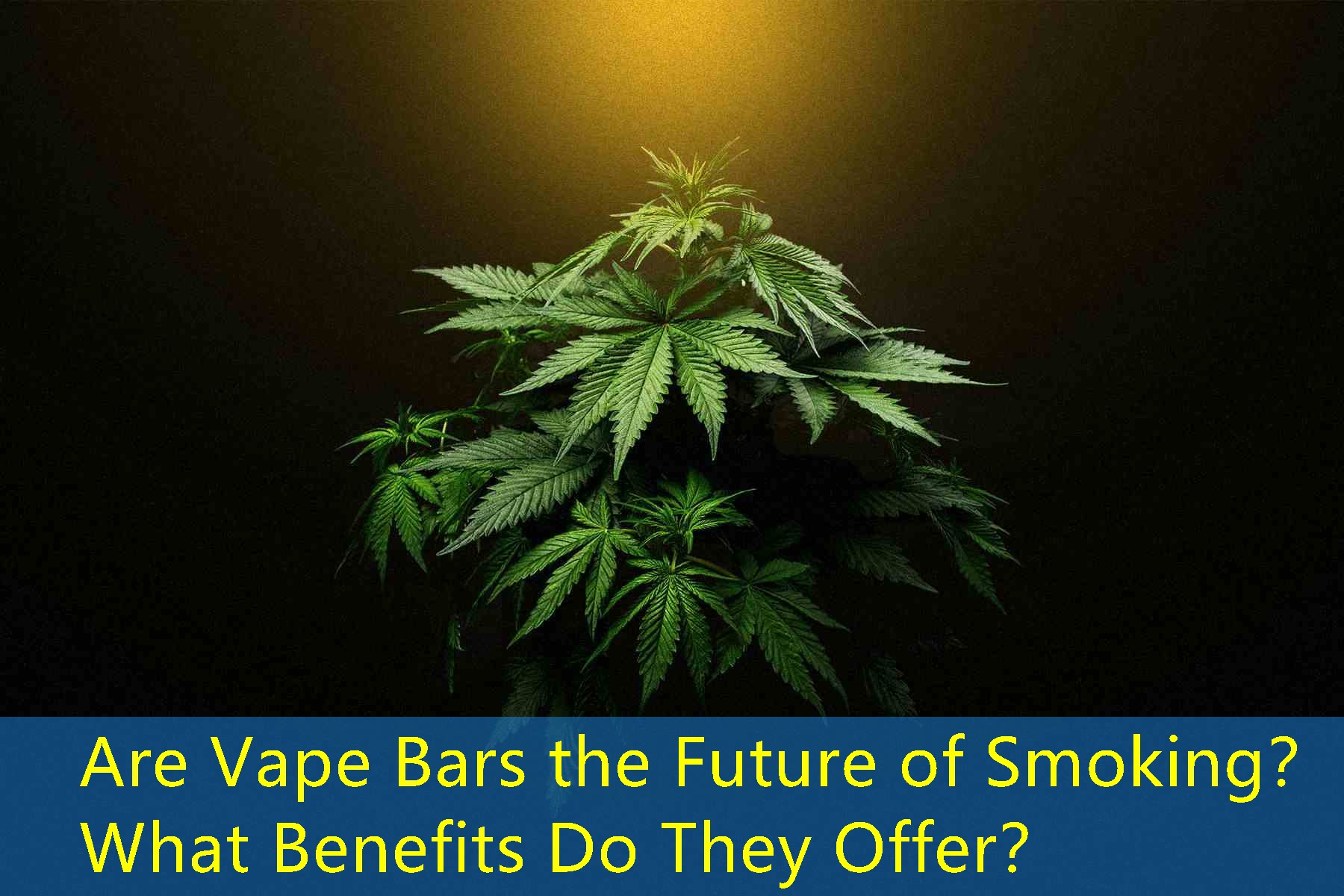 Are Vape Bars the Future of Smoking？ What Benefits Do They Offer？