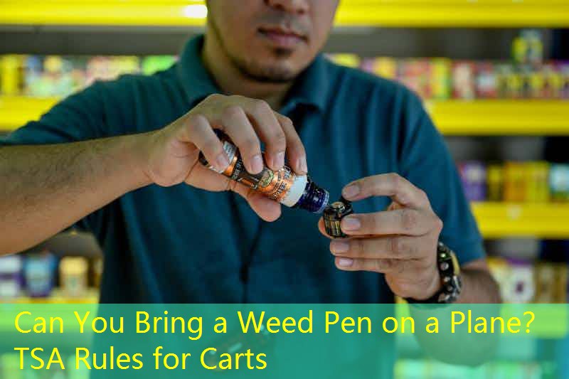 Can You Bring a Weed Pen on a Plane？ TSA Rules for Carts