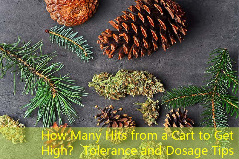 How Many Hits from a Cart to Get High？ Tolerance and Dosage Tips
