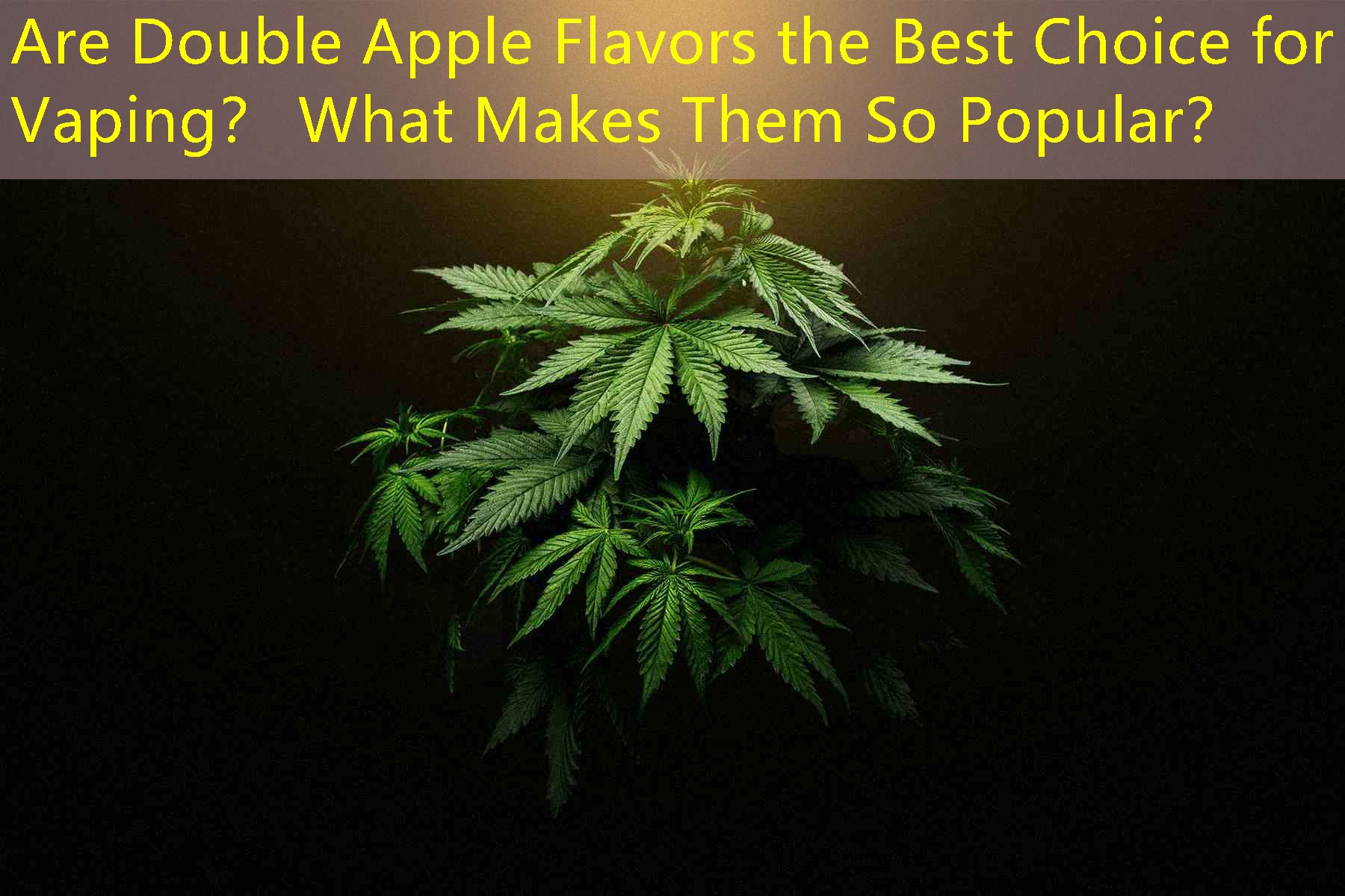 Are Double Apple Flavors the Best Choice for Vaping？ What Makes Them So Popular？