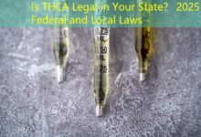 Is THCA Legal in Your State? 2025 Federal and Local Laws-Vape