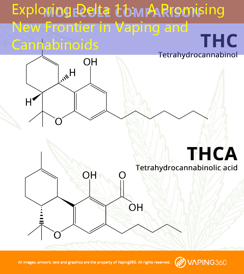 Exploring Delta 11： A Promising New Frontier in Vaping and Cannabinoids