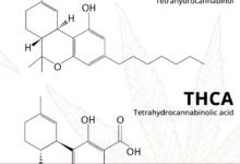 Exploring Delta 11: A Promising New Frontier in Vaping and Cannabinoids-Vape