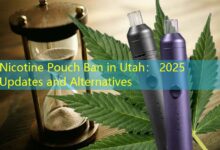 Nicotine Pouch Ban in Utah: 2025 Updates and Alternatives-Vape