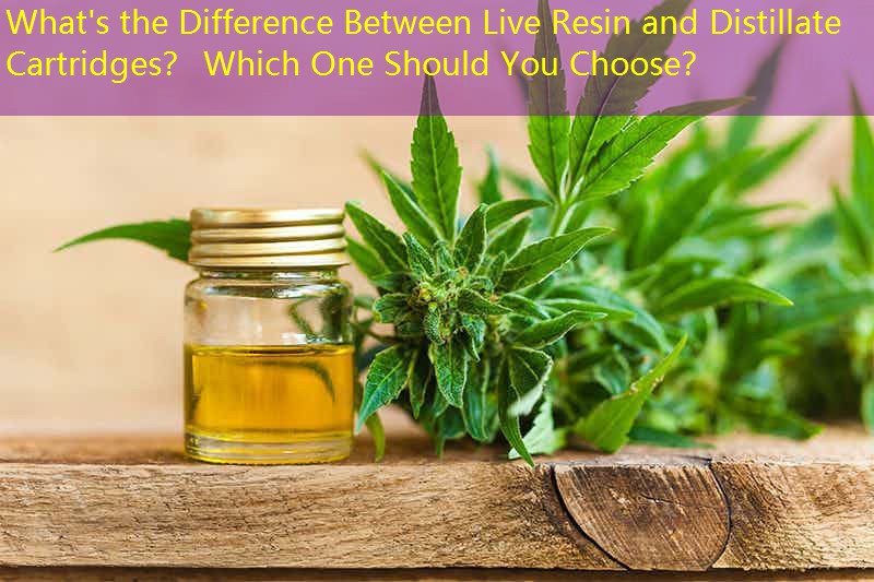 What's the Difference Between Live Resin and Distillate Cartridges？ Which One Should You Choose？