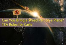 Can You Bring a Weed Pen on a Plane? TSA Rules for Carts-Vape