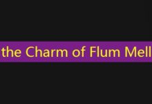 Exploring the Charm of Flum Mello Rome-Vape