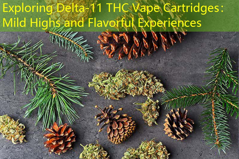 Exploring Delta-11 THC Vape Cartridges： Mild Highs and Flavorful Experiences
