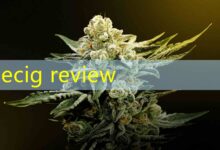 ecig review-Vape