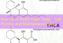 How to Fix Burnt Vape Taste: Coil Priming and Maintenance Hacks-Vape