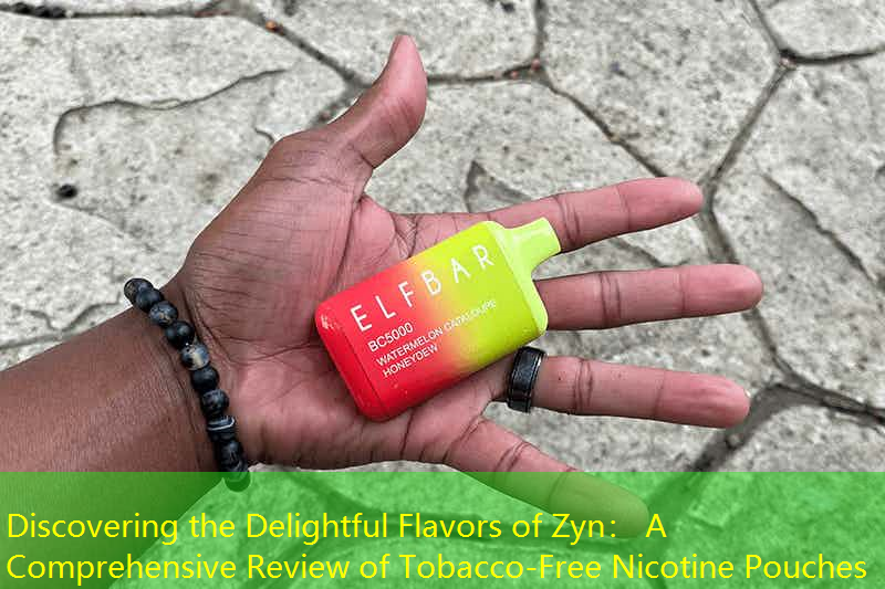 Discovering the Delightful Flavors of Zyn： A Comprehensive Review of Tobacco-Free Nicotine Pouches