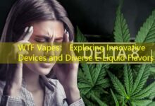 WTF Vapes: Exploring Innovative Devices and Diverse E-Liquid Flavors-Vape