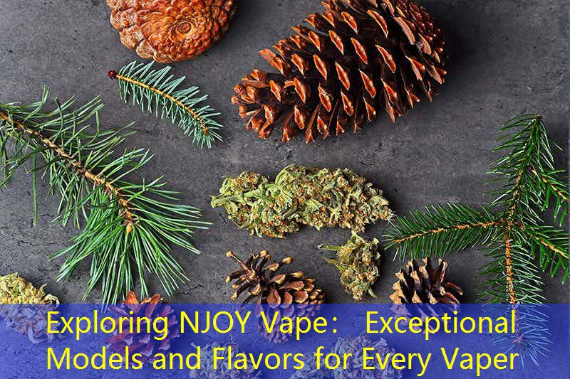 Exploring NJOY Vape： Exceptional Models and Flavors for Every Vaper