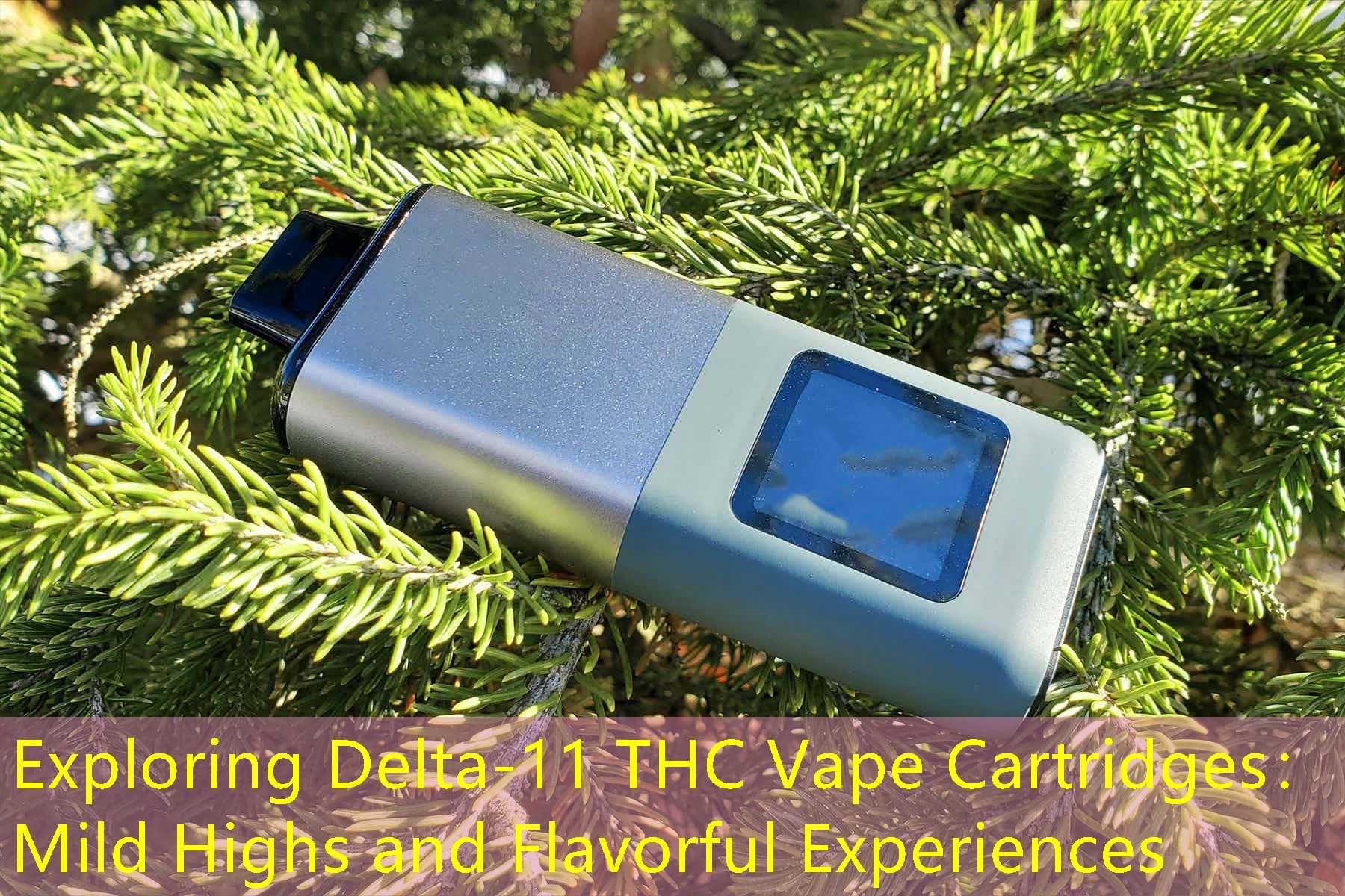 Exploring Delta-11 THC Vape Cartridges： Mild Highs and Flavorful Experiences