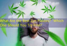 What Are the Best Zyn Flavors? Which One Should You Try First?-Vape