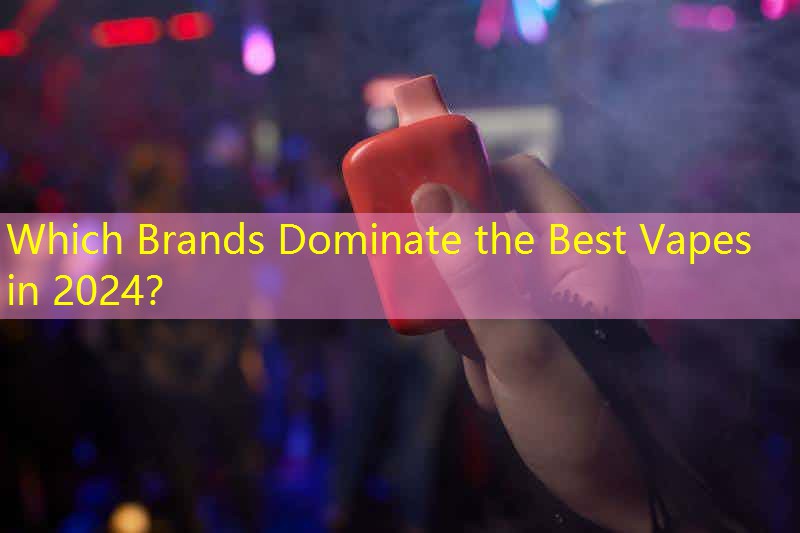 Which Brands Dominate the Best Vapes in 2024？