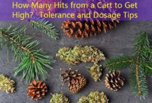How Many Hits from a Cart to Get High? Tolerance and Dosage Tips-Vape