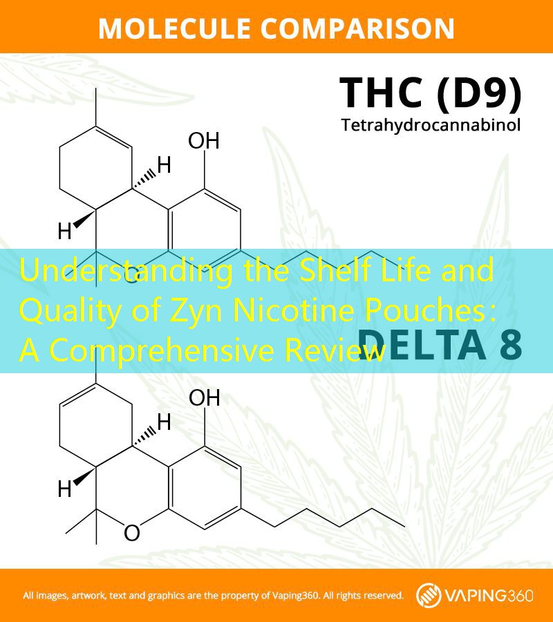 Understanding the Shelf Life and Quality of Zyn Nicotine Pouches： A Comprehensive Review