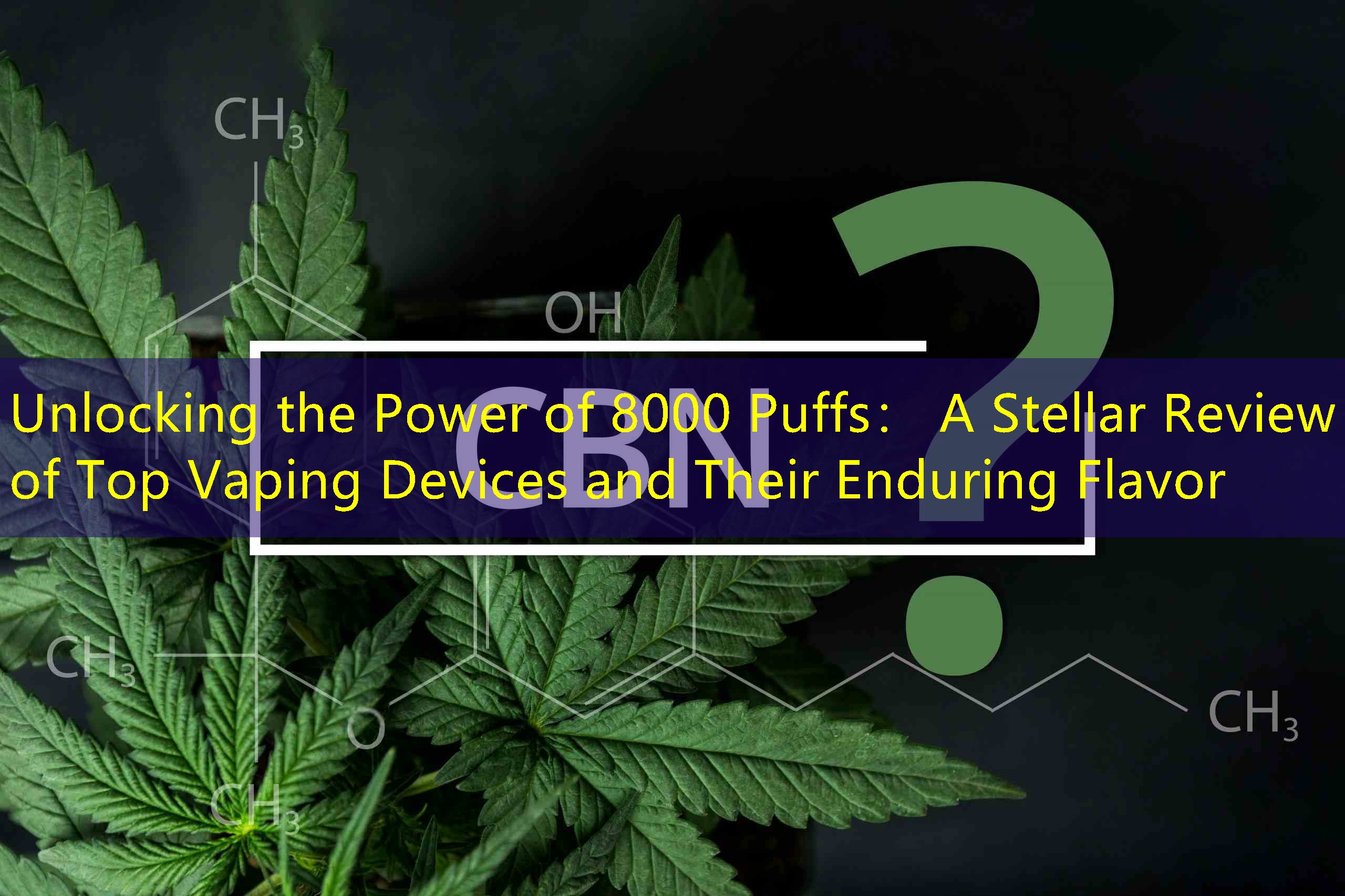 Unlocking the Power of 8000 Puffs： A Stellar Review of Top Vaping Devices and Their Enduring Flavor